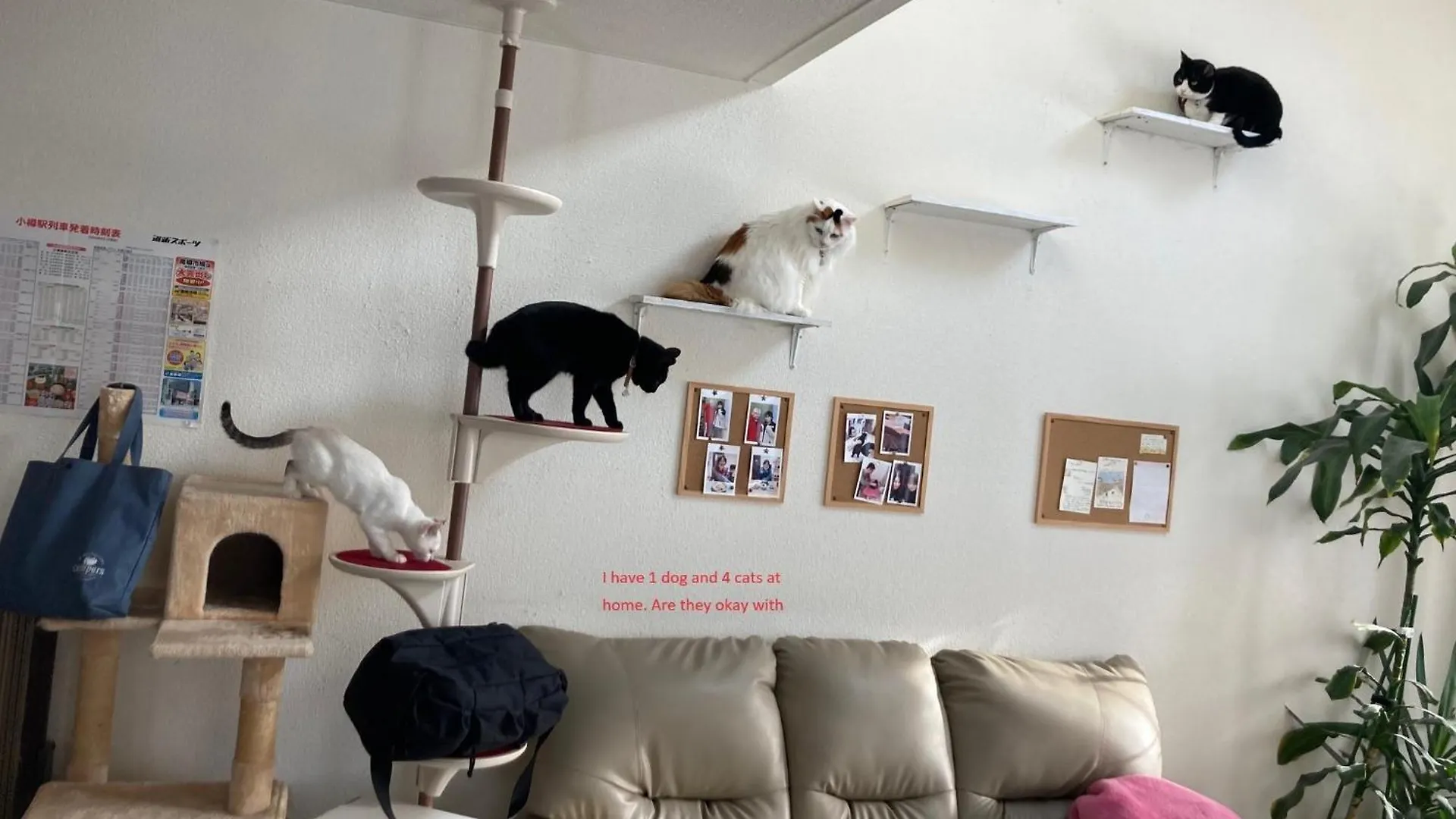 Otaru - House - Vacation Stay 87614